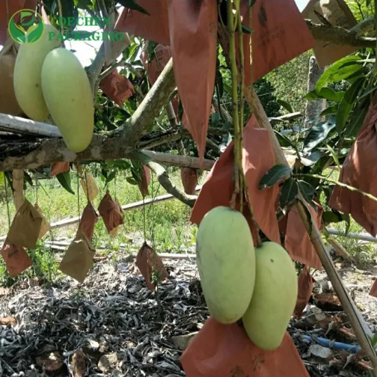 Heiße insektenresistente Mango-Fruchtschutz-High-Sales-Bananenverpackungs-Anbautasche