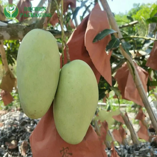 Verpackungsbeutel zum Schutz des Obstanbaus mit wasserdichten, doppelschichtigen Mango-Abdeckbeuteln